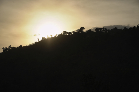 Etiopia Chelbesa Washed 500g - Cafea de specialitate DROPSHOT [3]