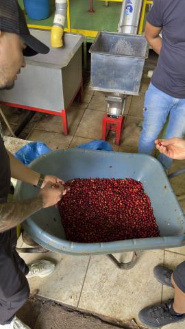 Columbia Castillo Bermudez 1kg - Cafea de specialitate DROPSHOT [1]