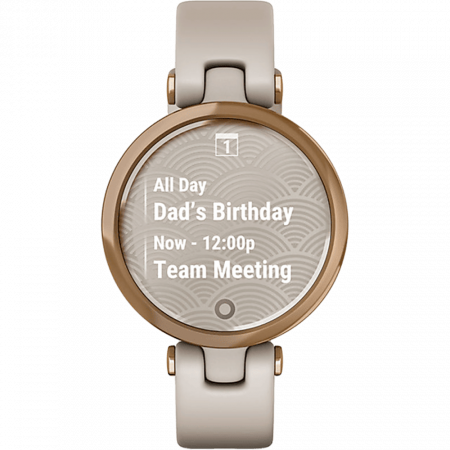 Telefoane & Tablete - Smartwatch GARMIN Lily Sport, Android/iOS, silicon, Rose Gold/Light Sand
