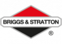 Briggs & Stratton