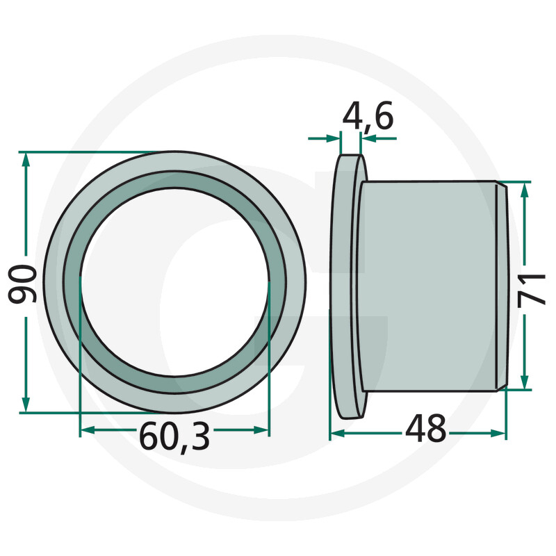 121897 Buca Fella [2]