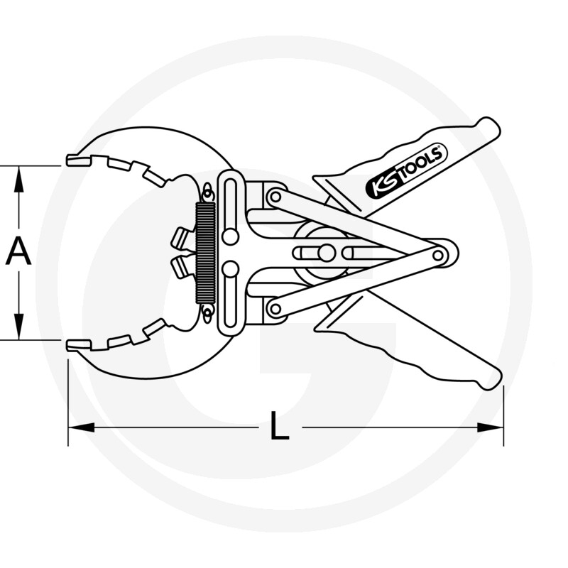 7881501176 Cleste segmenti [2]