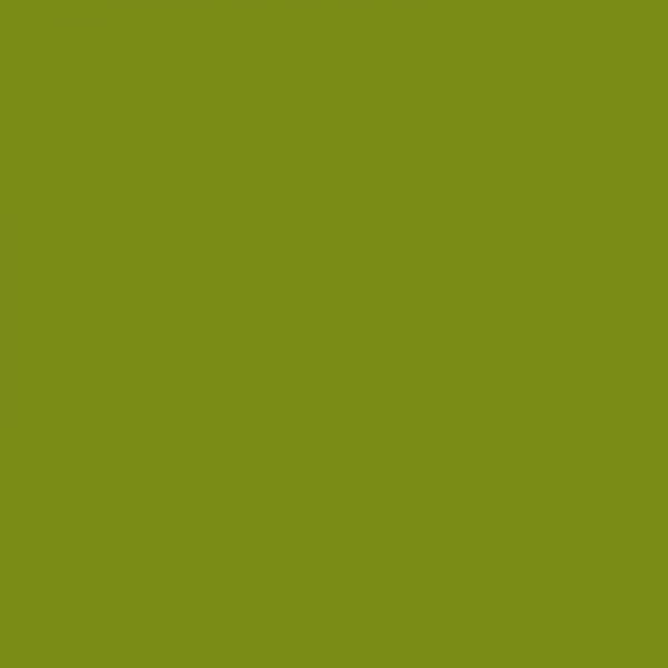 Vopsea Hurlimann Verde 623008KR  6230 [2]