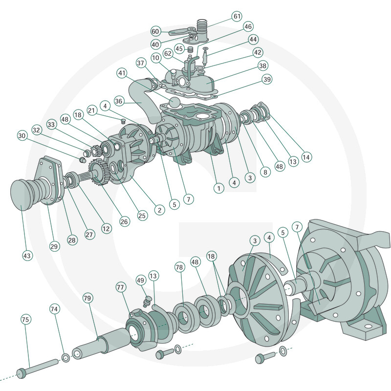 Pinion pompa vidanja Battioni&Pagani Z 55  [2]