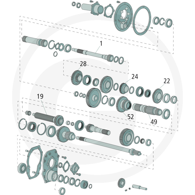 81805077 Pinion viteza Ford [2]