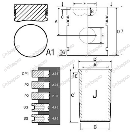 Set motor Case-IH *88.90 mm [2]