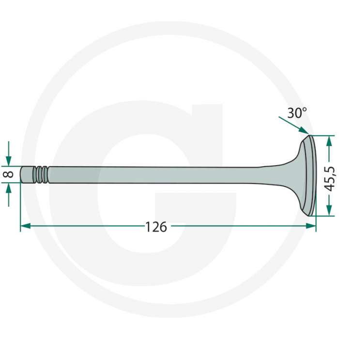 Supapa admisie Fiat 23/42-254 04824417 153634221 1904656 1904656; 1908408 1F.1908408 1F.4784888 1F.4824416 1F.500042643 1F500042643 4771023 4784888 4803805 4824416 4824417 4824417GV 500042643 500300570 504097327 5088011 78500003 82982109 98403097 98435622 98473704 99432652 FT4824417 LA1908408 LA4784888 LA4803805 LA4824416 LA4824417 LA500042643 S62057 SF12140031 SF4824417   [2]