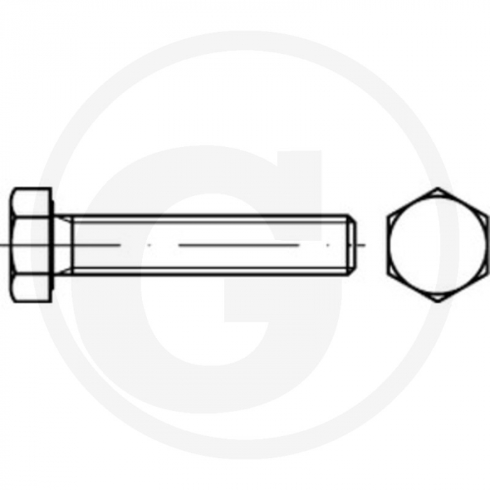Surub profil hexagonal M14x100 485931 14X100 10S   [2]
