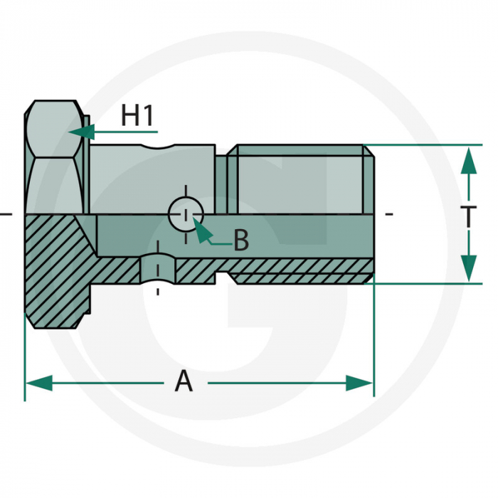 Surub tubular 1/2 BSP Banjo O80210-08 HBB08   [2]