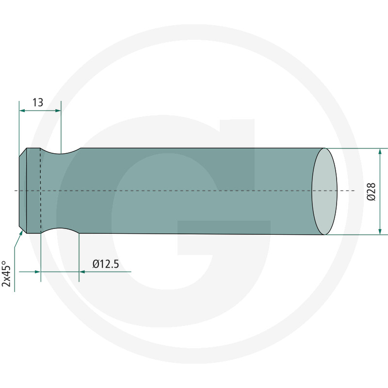 Tepusa arcuita L 560 mm - Mailleux *28 12 430055000004250808760293 [3]