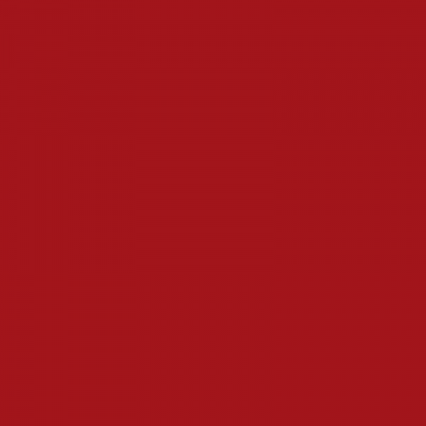 Vopsea Welger Rosu 354008KR  3540 [2]