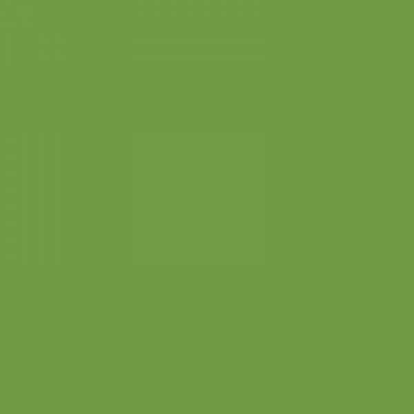 Vopsea Deutz Verde nou 27012064  6110 [2]