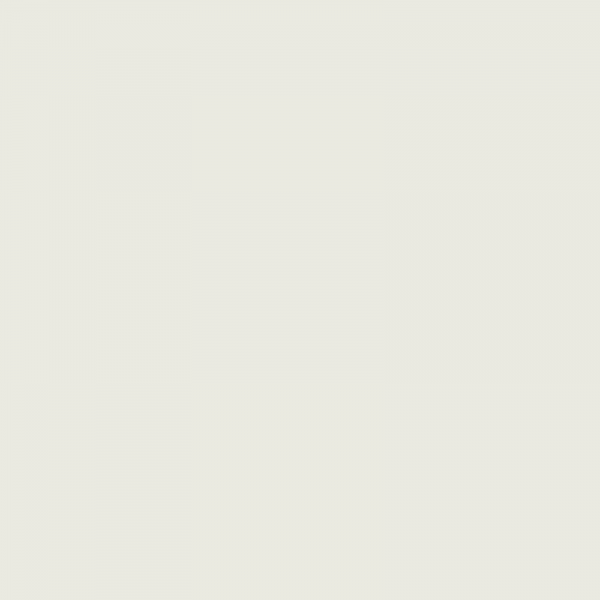 Vopsea New Holland Gri Cenusiu 27012264  5411 [2]