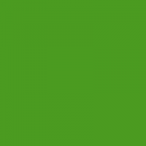 Vopsea Merlo Verde 27012255  6121 [2]