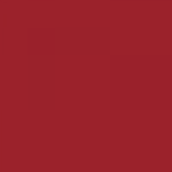 Vopsea New Holland Rosu 27012265  3120 [2]