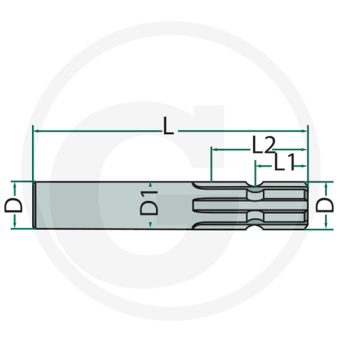 Ax profilat 1 3/8" 6 dinti L 300 mm   [1]