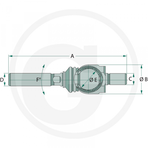 38725021 Bieleta [1]