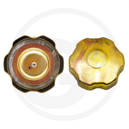 1.5.1.4. Accesorii rezervor - Buson rezervor Renault 38018776 7920001773  