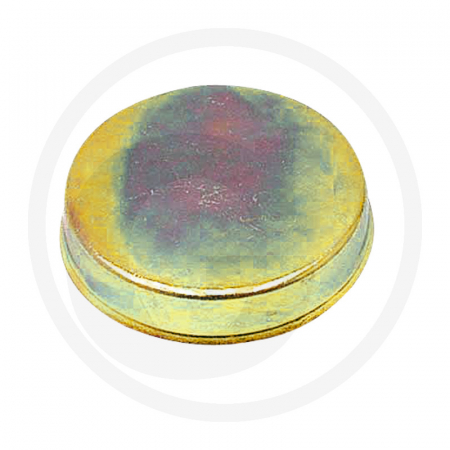 Pivot - Capac rulment pivot 72702088 72712095  