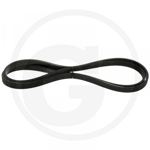 1.5.6.6. Accesorii - Curea accesorii Case-IH 98473705