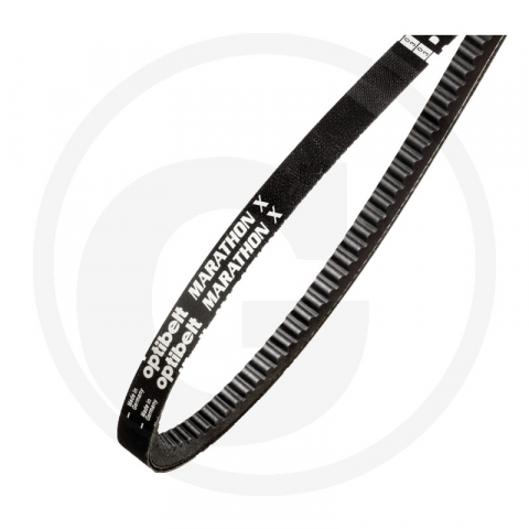 1.5.6.6. Accesorii - Curea - accesorii Lamborghini  L 1575 x10 mm 12 74719017