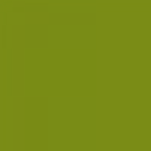 vopsea hurlimann verde [1]