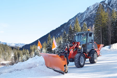 incarcator pe pneuri / Weidemann - 2080 [19]