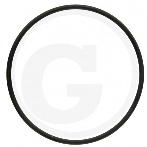 Claas/Renault - 197007700016789 Oring ax monobloc Claas