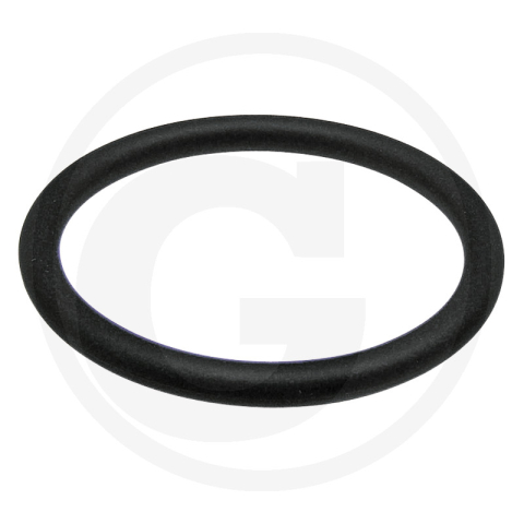 Fiat - O-Ring ax monobloc Fiat 14471280 (dreapta )  512556, 14471280 Fiat