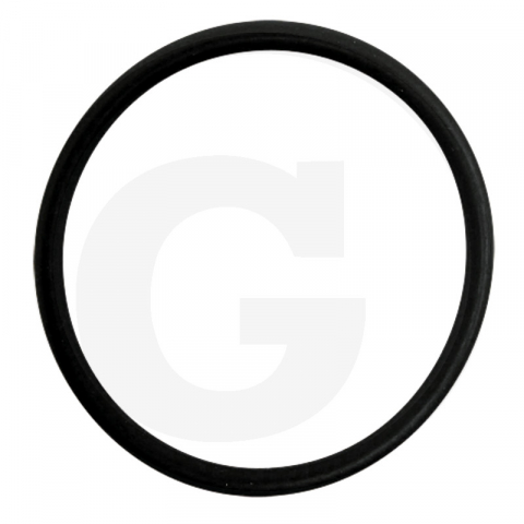 Case IH - 3131661R1 O-ring brat monobloc Case IH