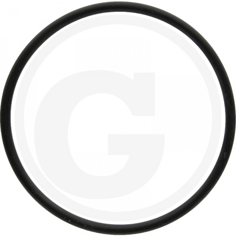 Diverse - X548929066000 O-ring cardan Fendt