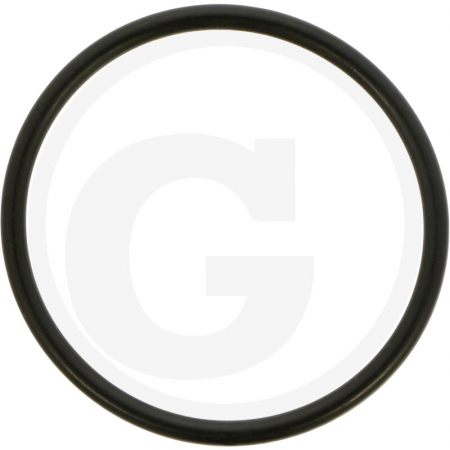 1.4.3. Distribuitoare - O-ring distribuitor Case IH 1603054999R1 3054999R1  