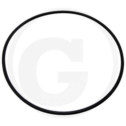 Case IH - 3057615R1 O-ring monobloc Case IH