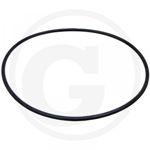 Case IH - 71802032 Oring monobloc IHC