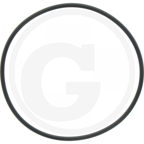 New Holland - TS100, TS110, TS115, TS90, TS100A, TS110A, TS115A, TS125A, TS130A, TS135A - O-Ring piston cutie New Holland 372261S