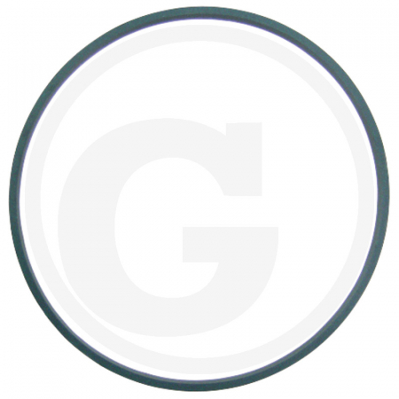 Fiat - O-ring piston monobloc 54/692-97 5136567 71817022  