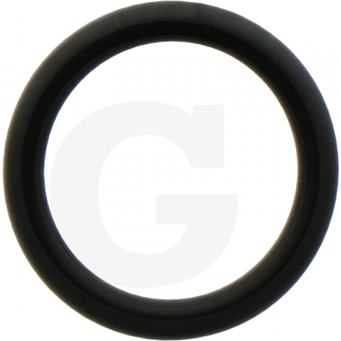 Rabe - 1802200079 Oring plug Rabe