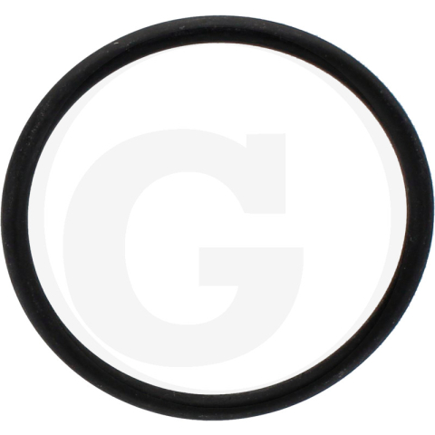 2. Piese Utilaje Agricole - O-ring rezervor combustibil Case-IH 3229809R1  McCormick|Case-IH