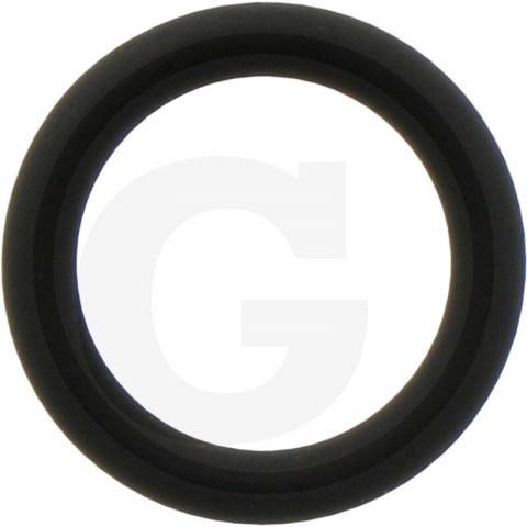 1.5.1.6. Pompe de injectie si accesorii - R65397 Oring tija culbutori