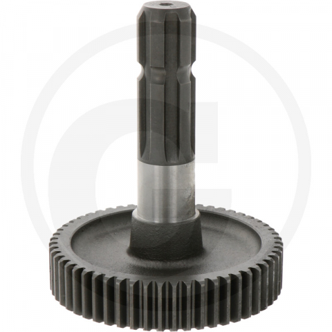 2.2.1.4. Pompe vacuum - Pinion pompa vidanja Battioni&Pagani Z 55 