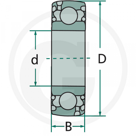 55717262052RS Rulment SKF [1]