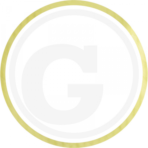 Fiat - 8808494 Saiba camasa Fiat