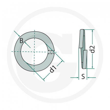 Saiba grover 8.1x14.8 487127004WR   [1]