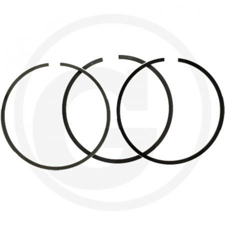 Massey Ferguson - Segmenti Massey Ferguson Ø 79.38mm 31361391 31361421 41158085 745902M91 745902Z91 PER41158085 S40425  