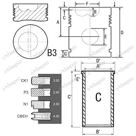 Set motor MWM [2]