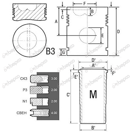 Set motor MWM  D227-4 *100 [2]