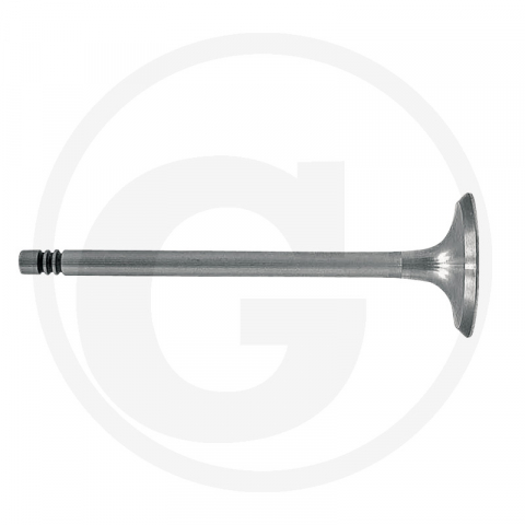 Deutz-Fahr - Supapa admisie Deutz Fahr