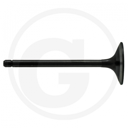 Fiat - Supapa admisie Fiat 23/42-254 04824417 153634221 1904656 1904656; 1908408 1F.1908408 1F.4784888 1F.4824416 1F.500042643 1F500042643 4771023 4784888 4803805 4824416 4824417 4824417GV 500042643 500300570 504097327 5088011 78500003 82982109 98403097 98435622 98473704 99432652 FT4824417 LA1908408 LA4784888 LA4803805 LA4824416 LA4824417 LA500042643 S62057 SF12140031 SF4824417  