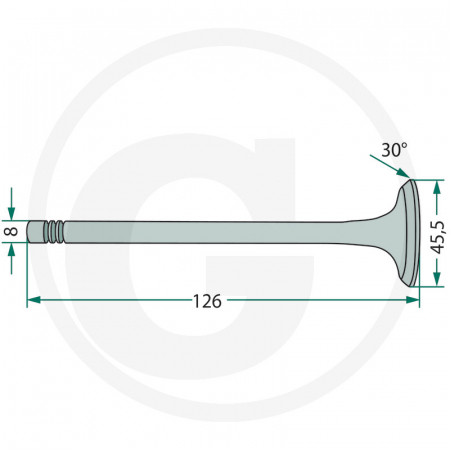 Supapa admisie Fiat 23/42-254 04824417 153634221 1904656 1904656; 1908408 1F.1908408 1F.4784888 1F.4824416 1F.500042643 1F500042643 4771023 4784888 4803805 4824416 4824417 4824417GV 500042643 500300570 504097327 5088011 78500003 82982109 98403097 98435622 98473704 99432652 FT4824417 LA1908408 LA4784888 LA4803805 LA4824416 LA4824417 LA500042643 S62057 SF12140031 SF4824417   [1]