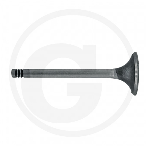 1. Piese & Accesorii Tractoare - Supapa admisie MWM D227-4 38060035